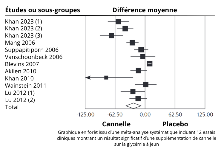 Effets de la cannelle sur la glycémie à jeun